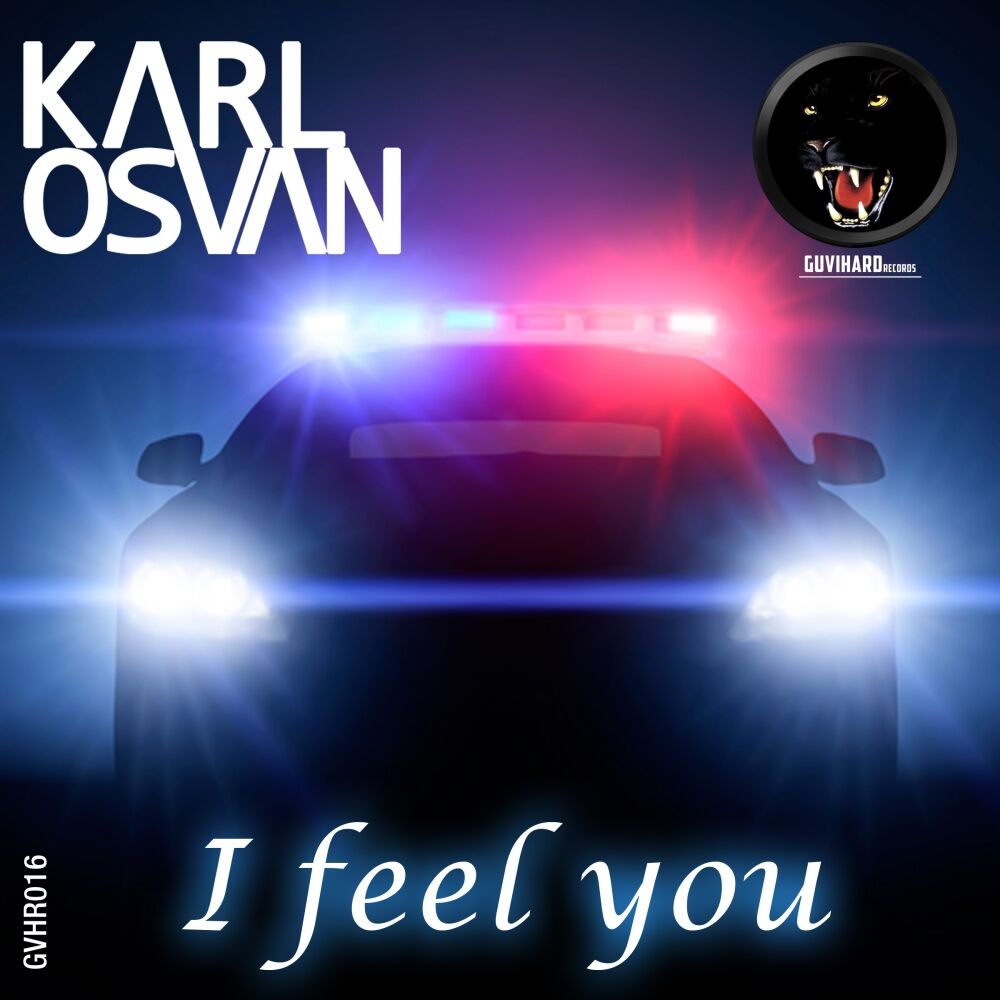 Picture of I Feel You