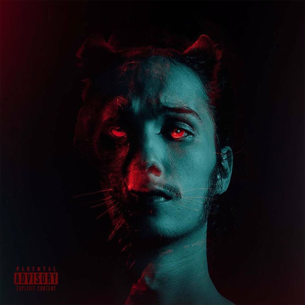 Album cover of HLG