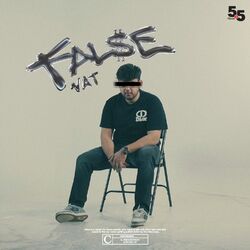 Cover of False