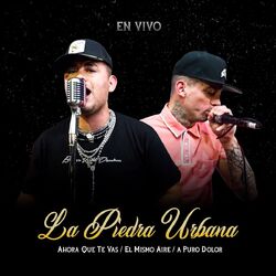 Cover of Ahora Que Te Vas / El Mismo Aire / a Puro Dolor (En Vivo)