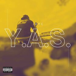 Cover of Y.A.S.