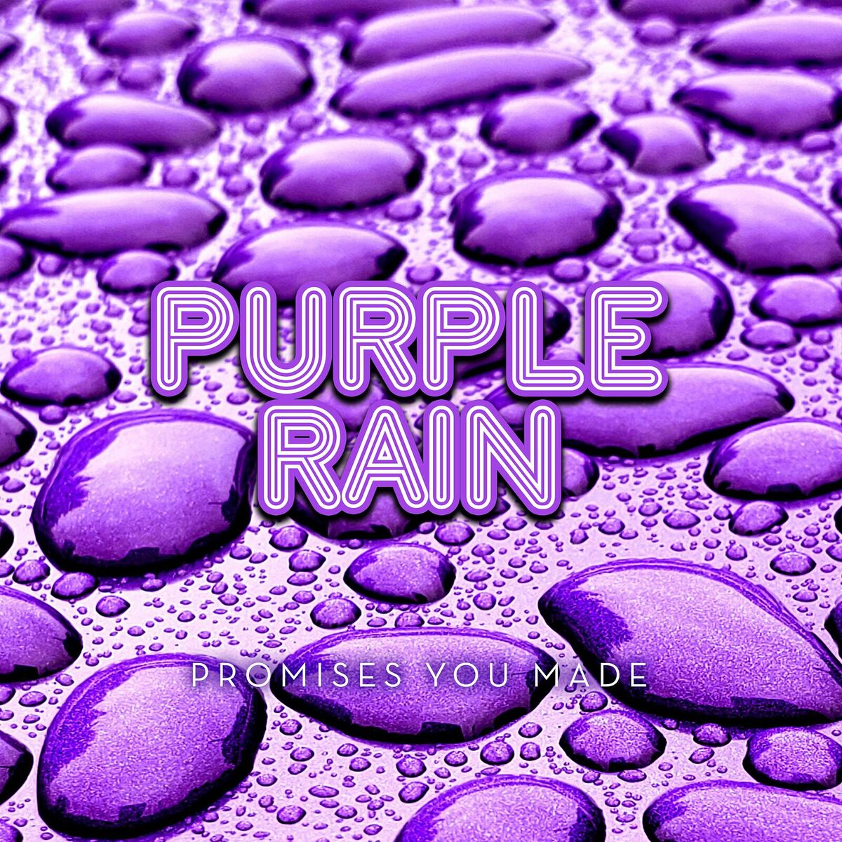 Album cover of Promises You Made