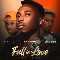 Cover of Fall In Love [EDM Remix]