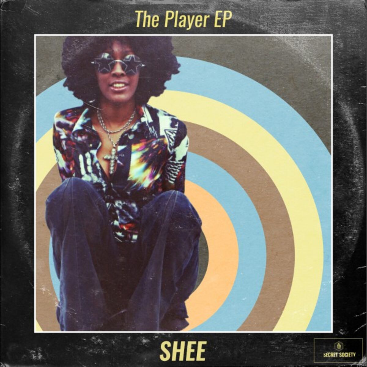 Album cover of The Player
