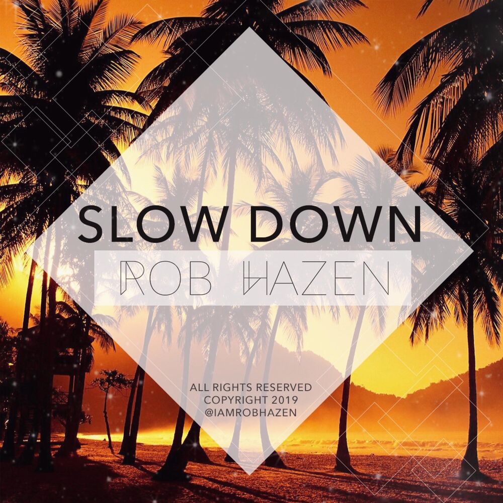 Picture of Slow Down