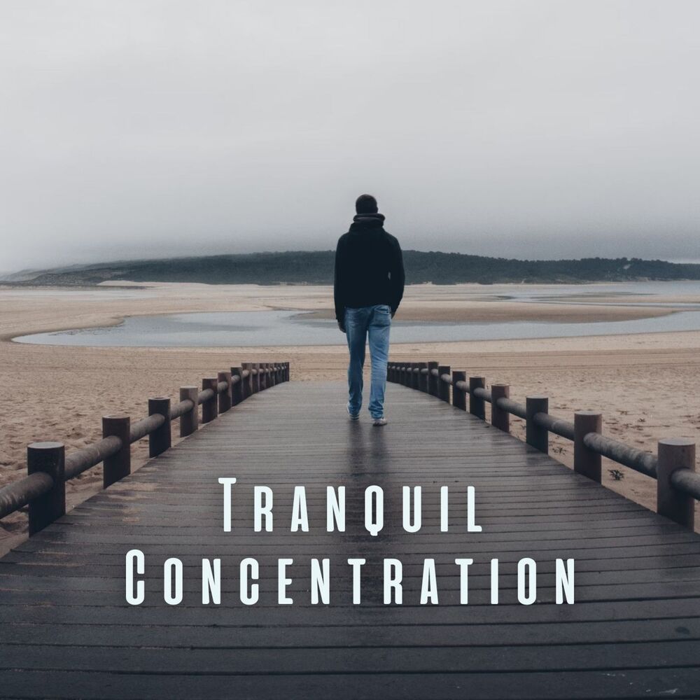 Picture of Tranquil Concentration: Meditative Piano for Clear Mental Focus