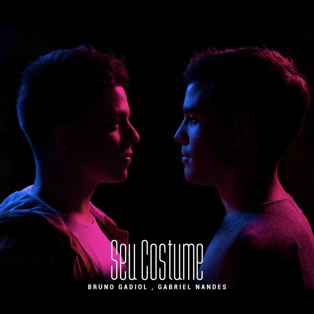 Album cover of Seu Costume