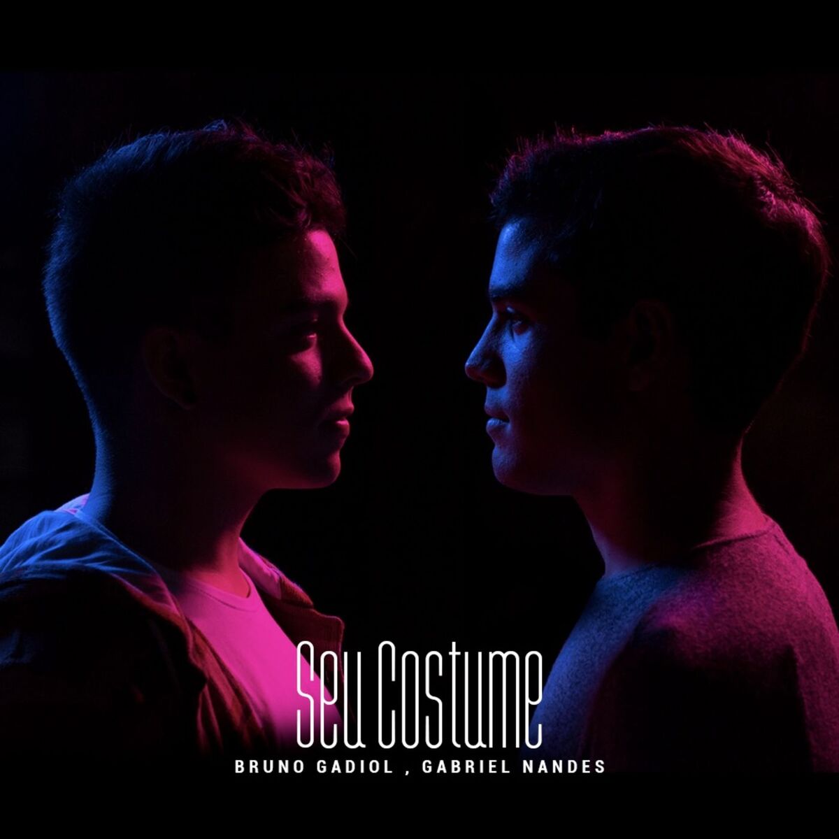 Album cover of Seu Costume