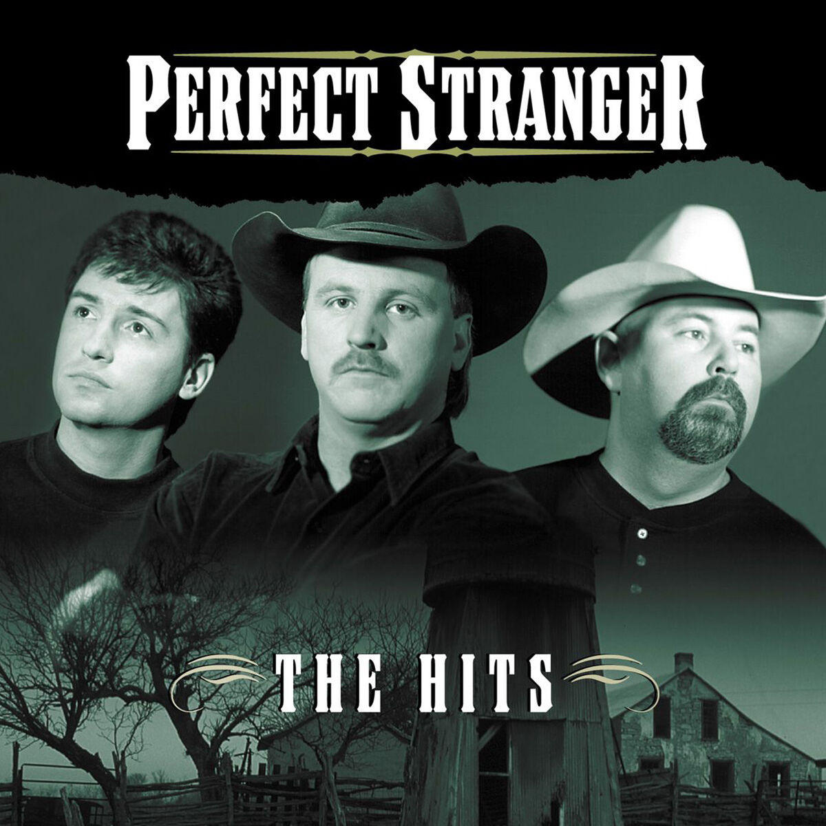 Album cover of The Hits