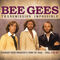I Can't See Nobody by Bee Gee's album cover