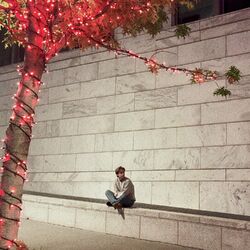 Cover of all alone on christmas