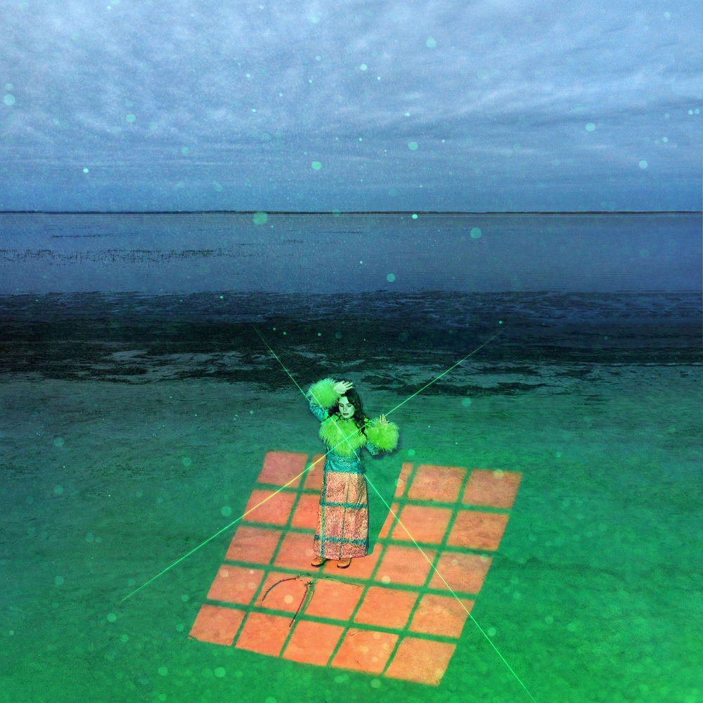 Cover du titre camomille