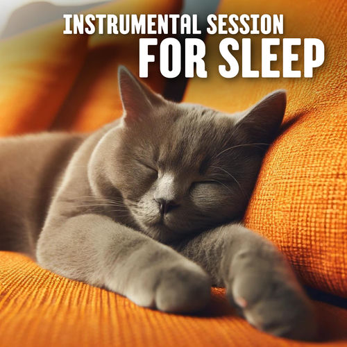 Instrumental Session for Sleep (Calm Bedtime Piano)