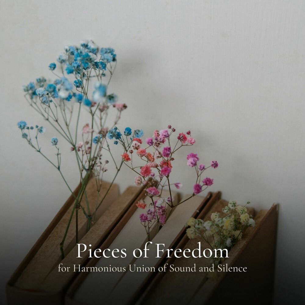 Picture of Pieces of Freedom for Harmonious Union of Sound and Silence