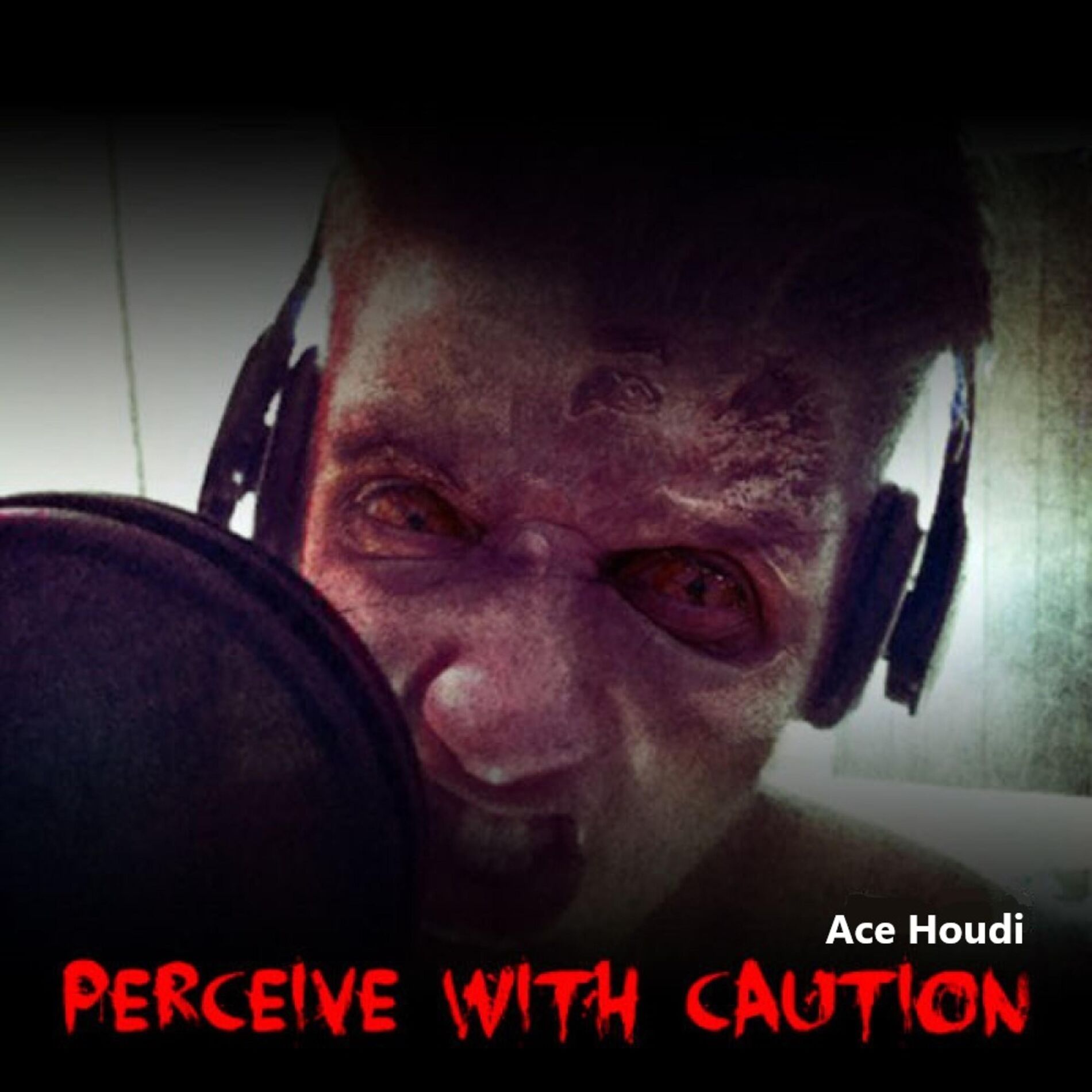 Album cover of Perceive With Caution