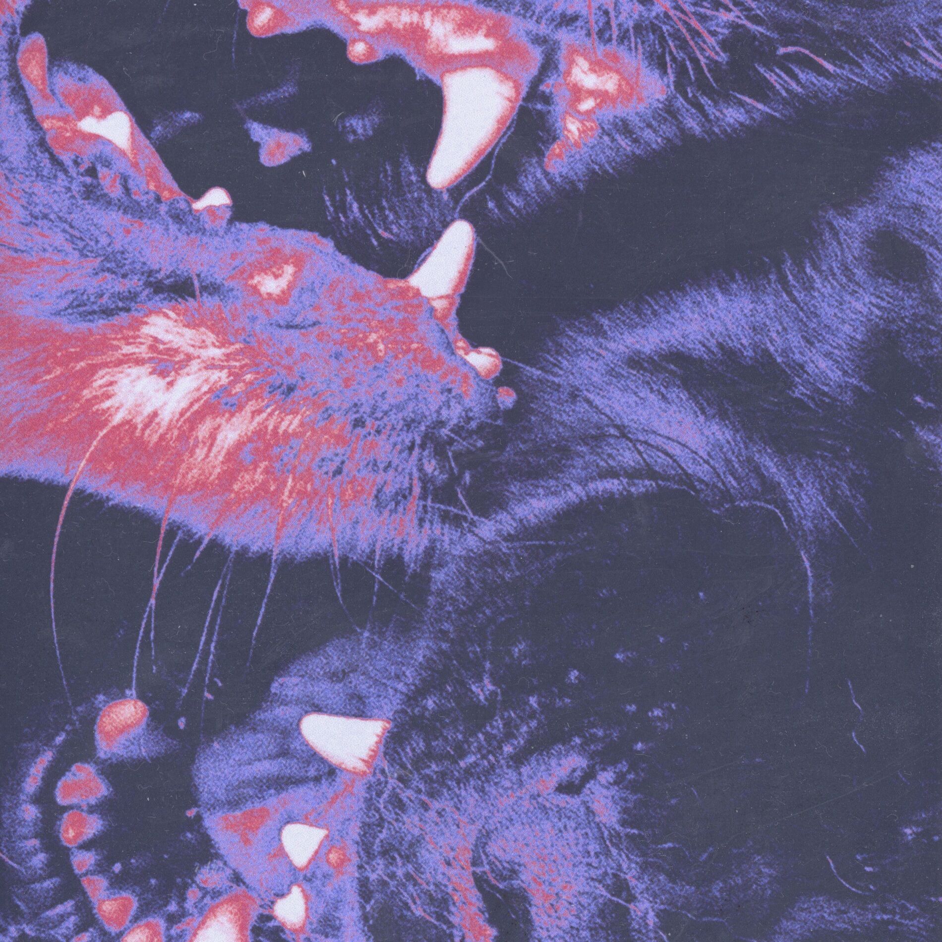 Album cover of Savage