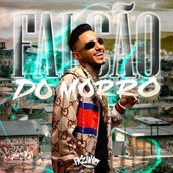 Cover of FALCÃO DO MORRO