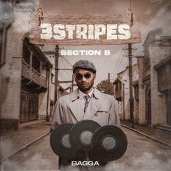 Cover of 3 Stripes Section B