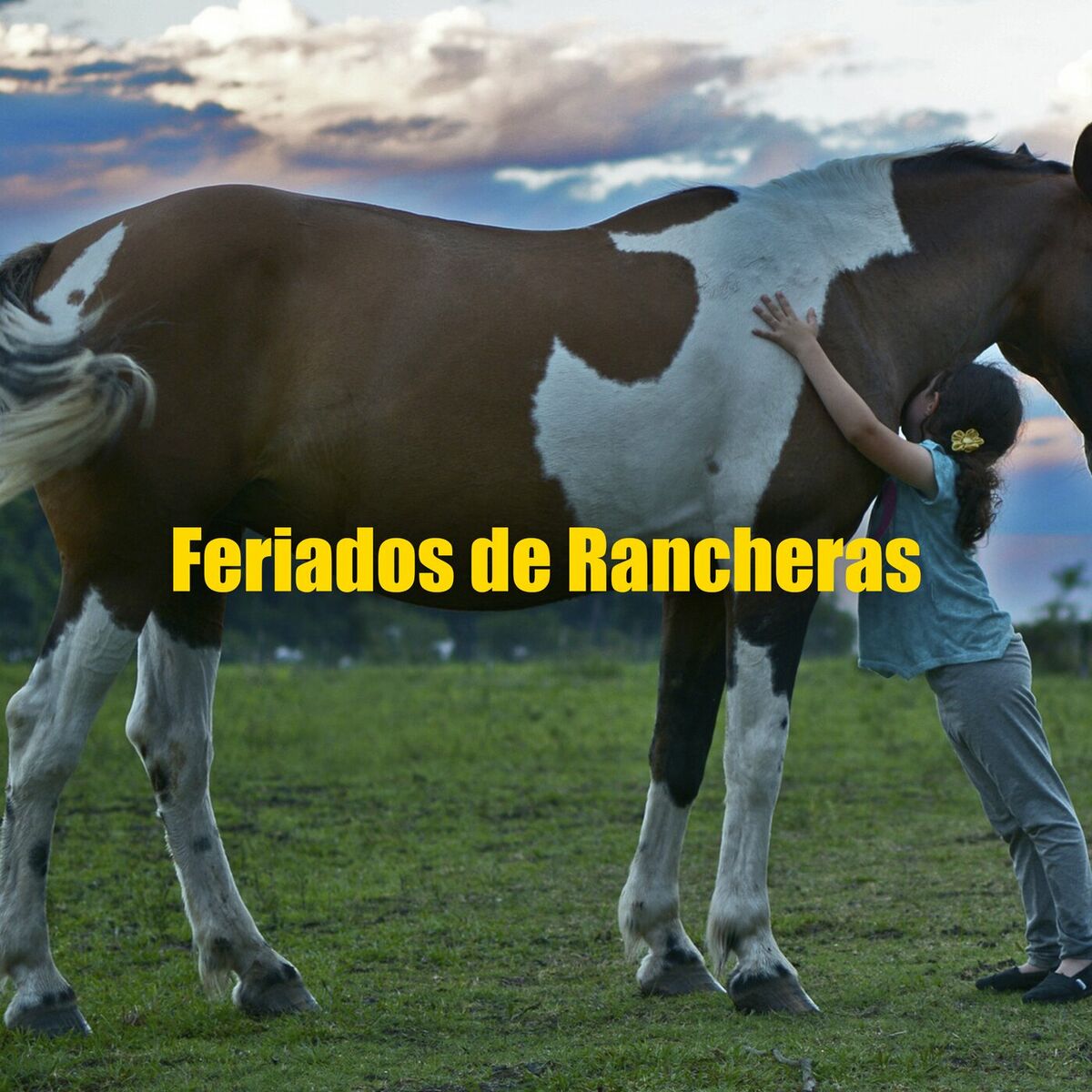 Album cover of Feriados de Rancheras
