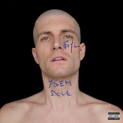 Cover of Byl Ysem Dole
