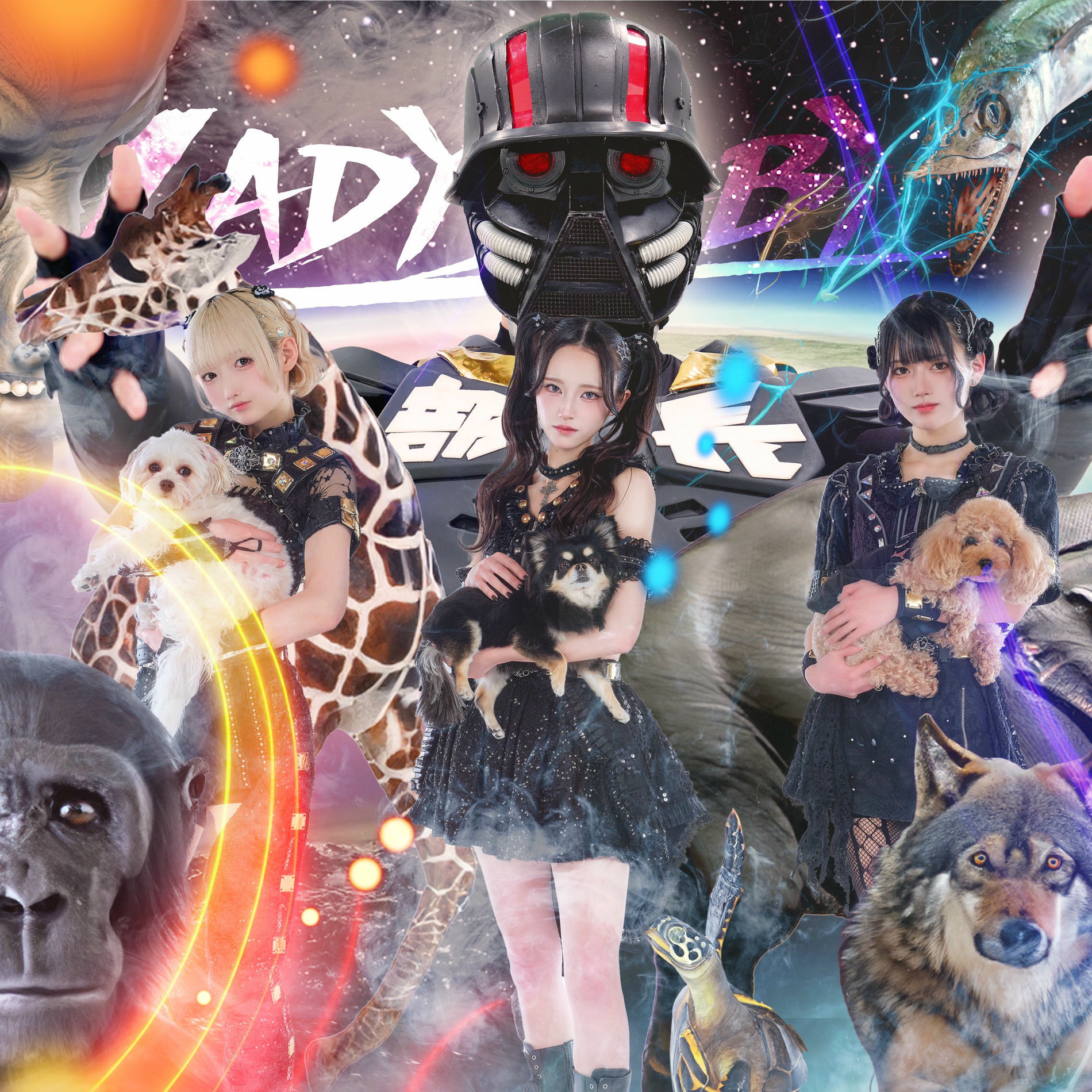 LADYBABY「The LASTLIVE at LIQUIDROOM」DVD The LAST LIVE at LIQUID ROOM, Tokyo -January 13, 2020