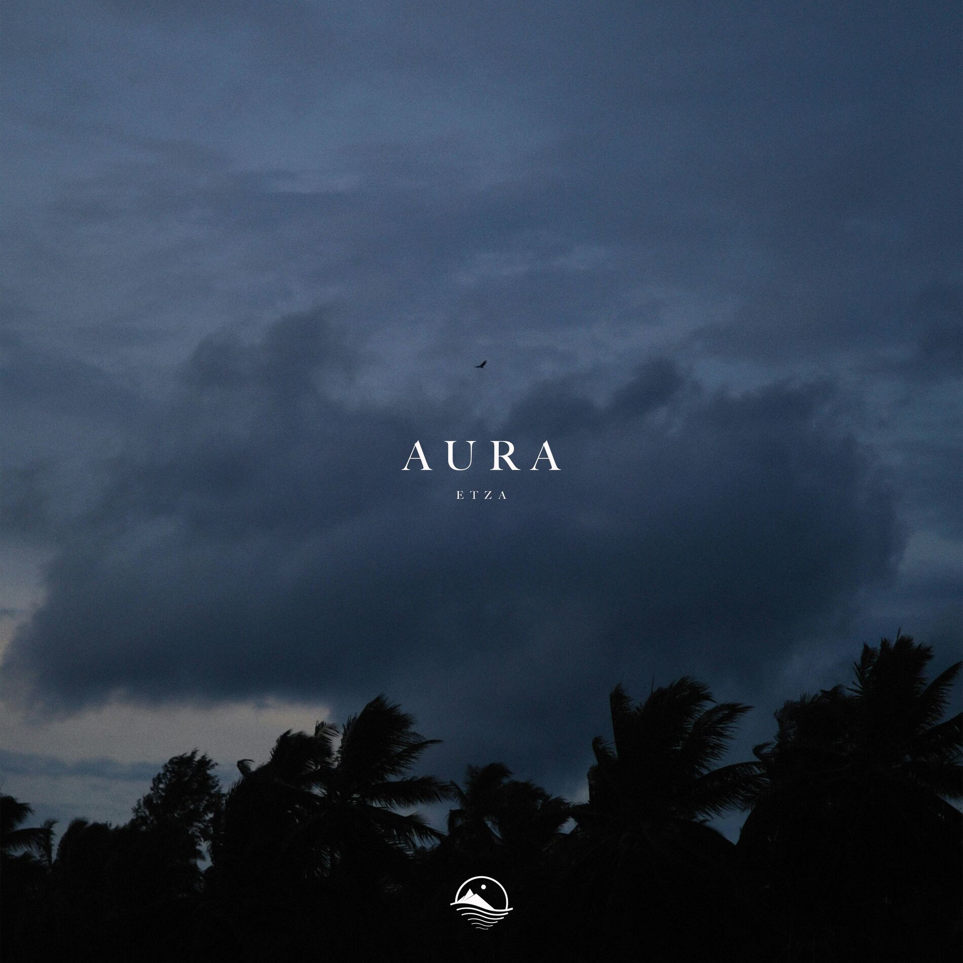 Album cover of Aura