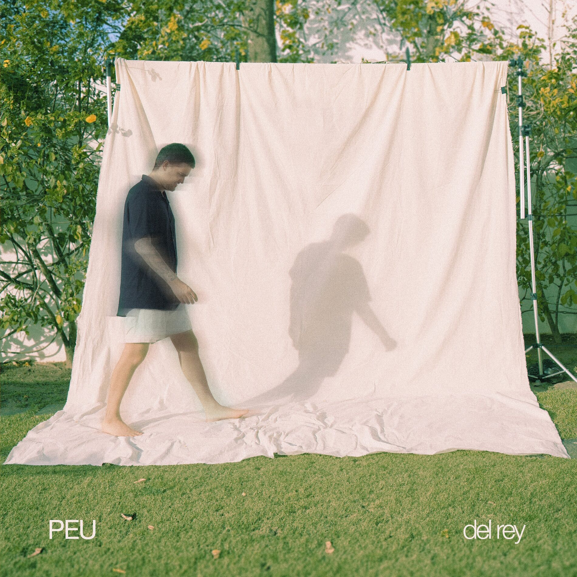 Album cover of Del Rey