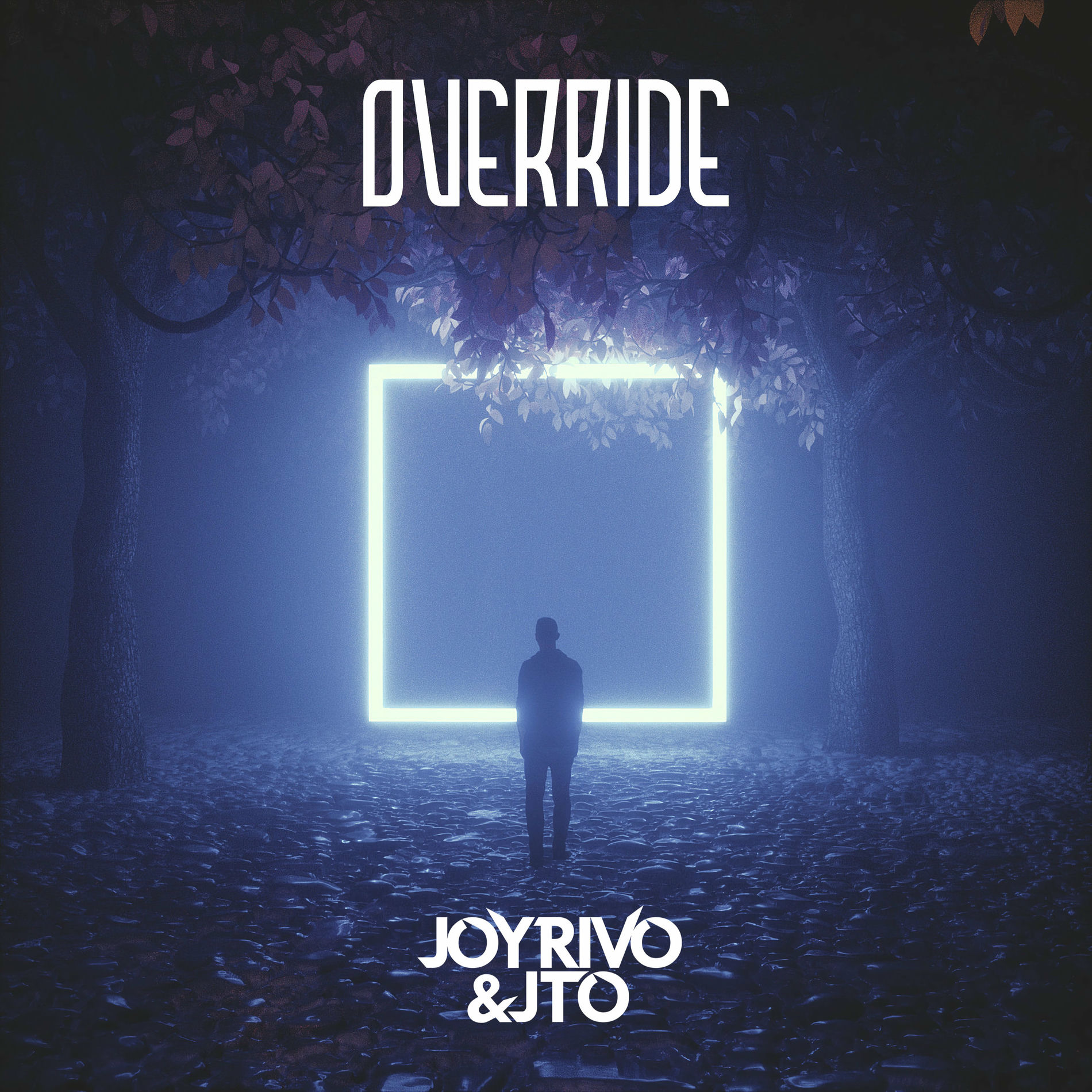 Album cover of Override