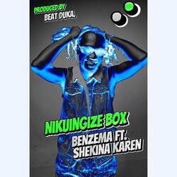 Cover of Nikuingize Box