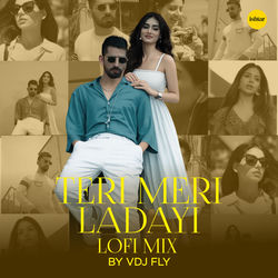 Album Teri Meri Ladayi (Lo Fi)