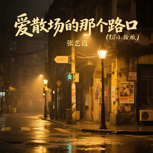 爱散场的那个路口 (Dj小拾版)