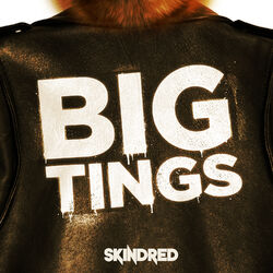 Cover of Big Tings