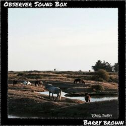 Cover of Rasta Cowboy