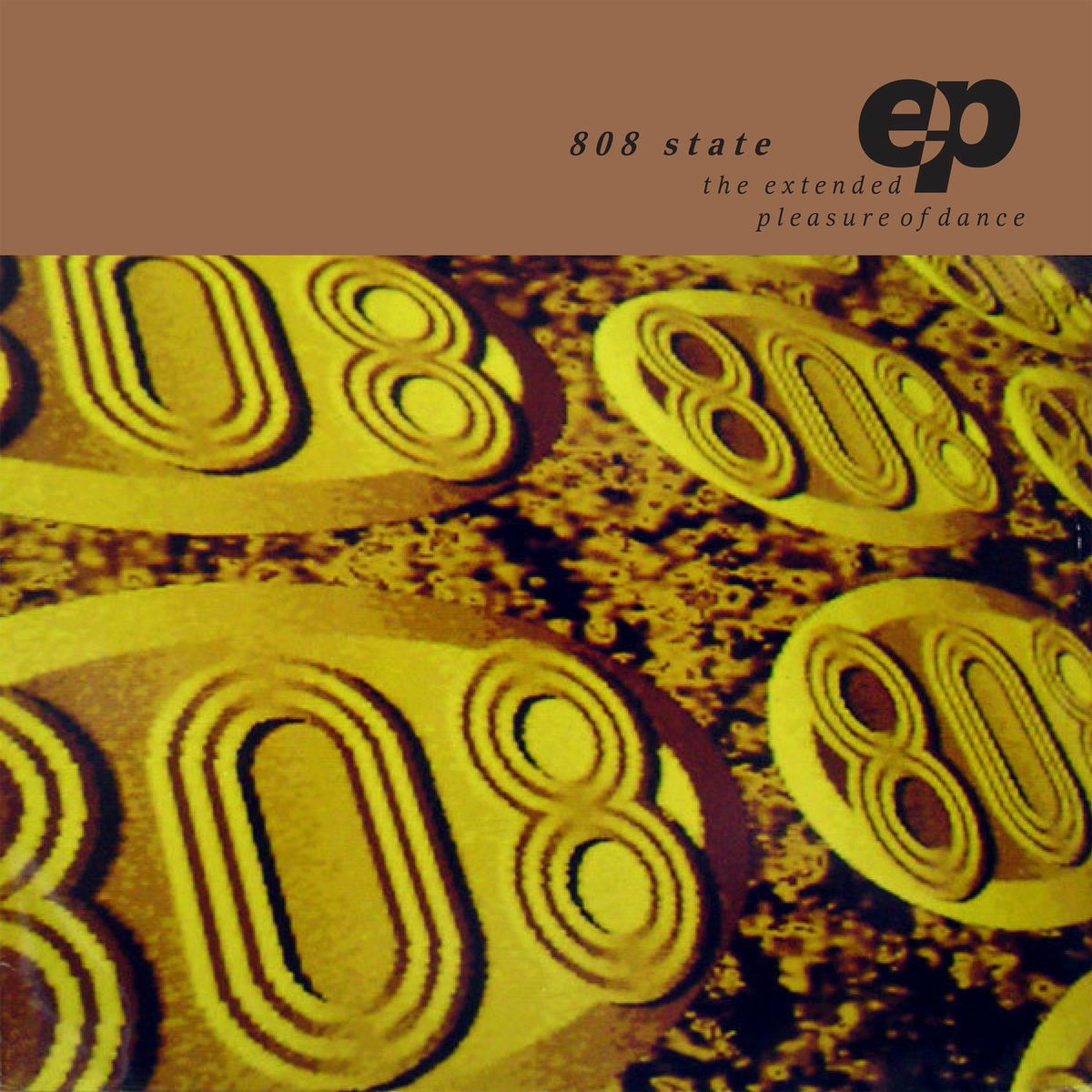 Album cover of The Extended Pleasure of Dance