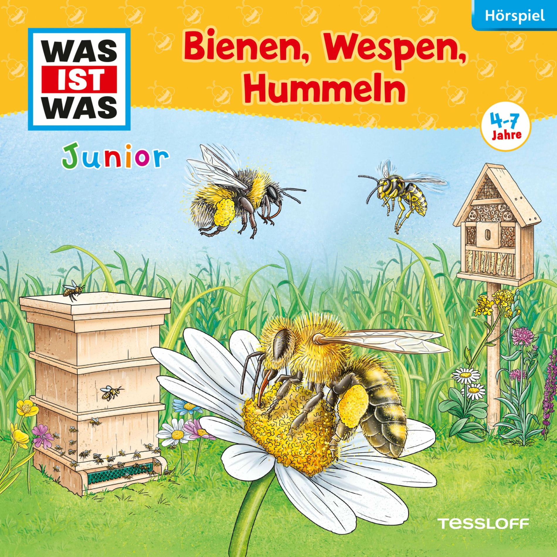 Album picture of 30: Bienen, Wespen, Hummeln