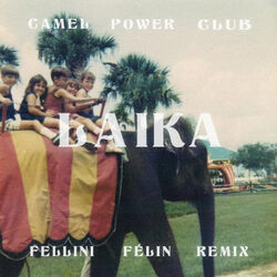 Cover of Laïka (Fellini Félin Remix)