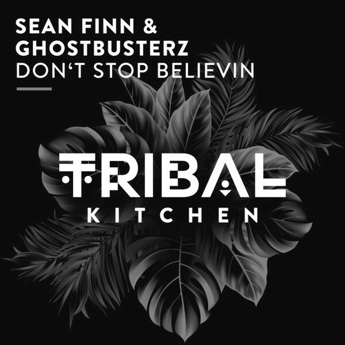 Album cover of Don't Stop Believin