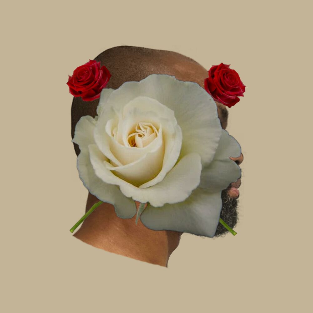 Picture of Full Bloom