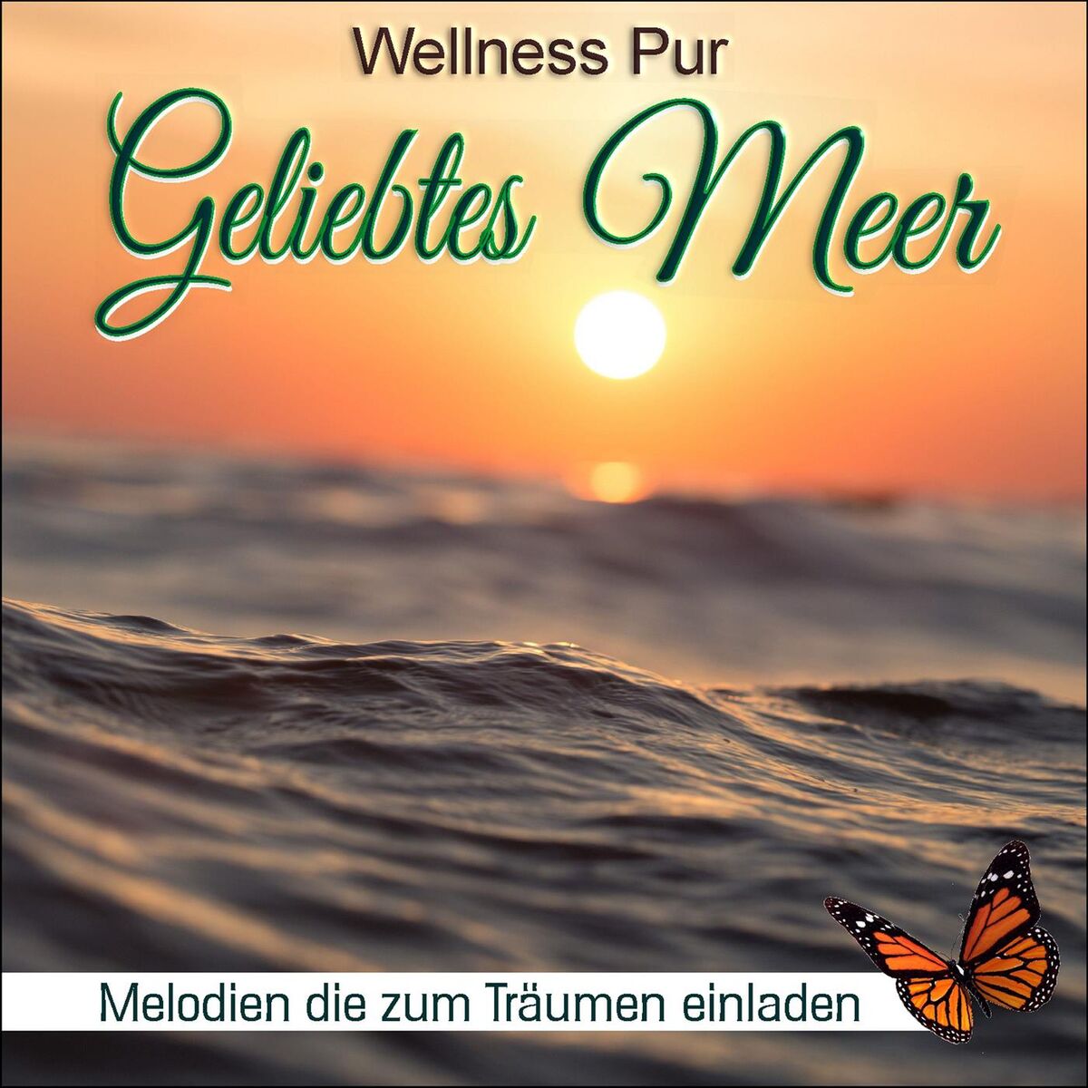 Album cover of Ein sonniger Tag am Meer