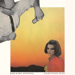 Cover of Something Wild