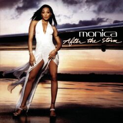 Cover of After The Storm