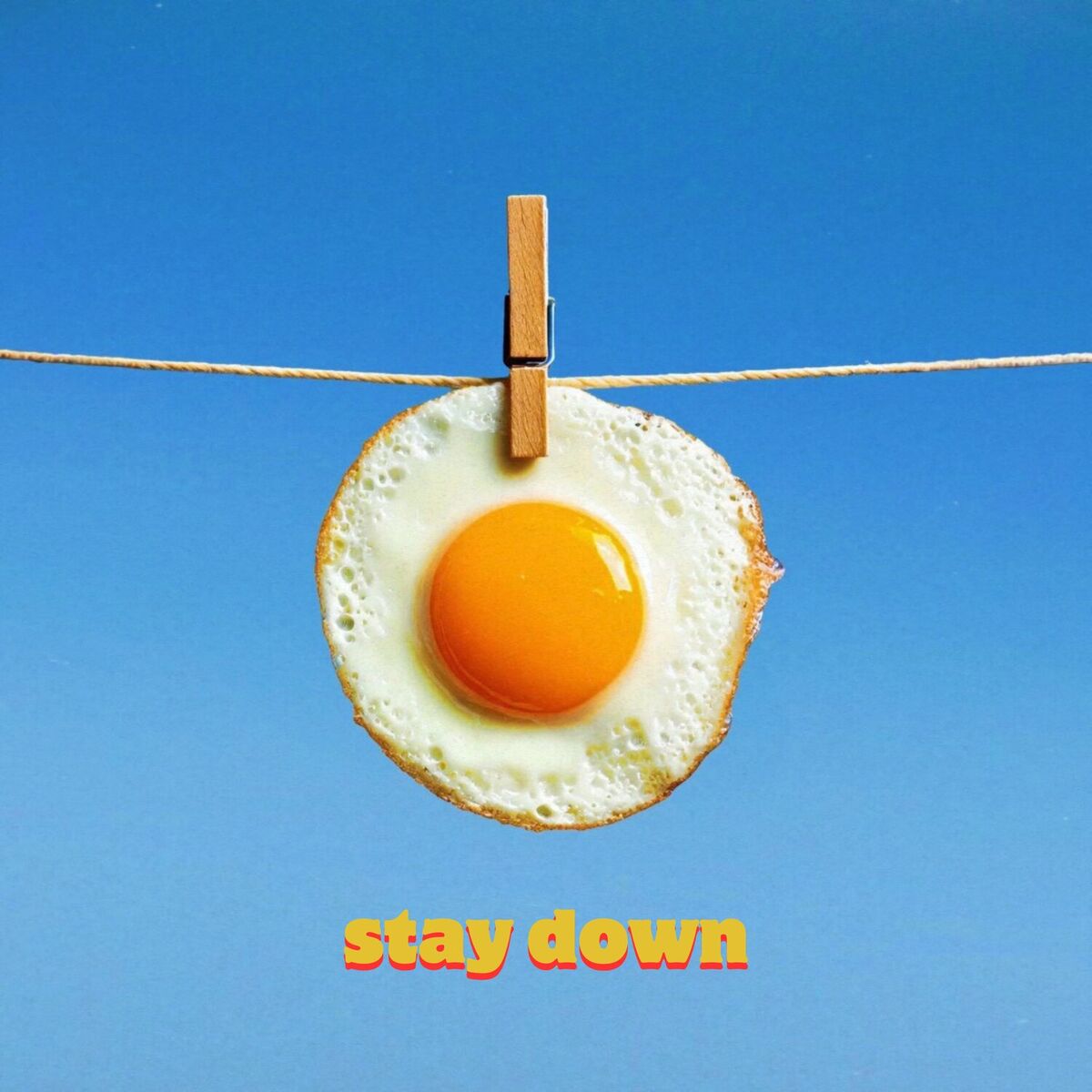 Album cover of Stay Down