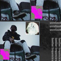 Cover of Familiar Frequencies