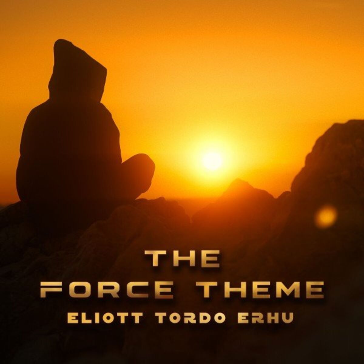 Album cover of The Force Theme