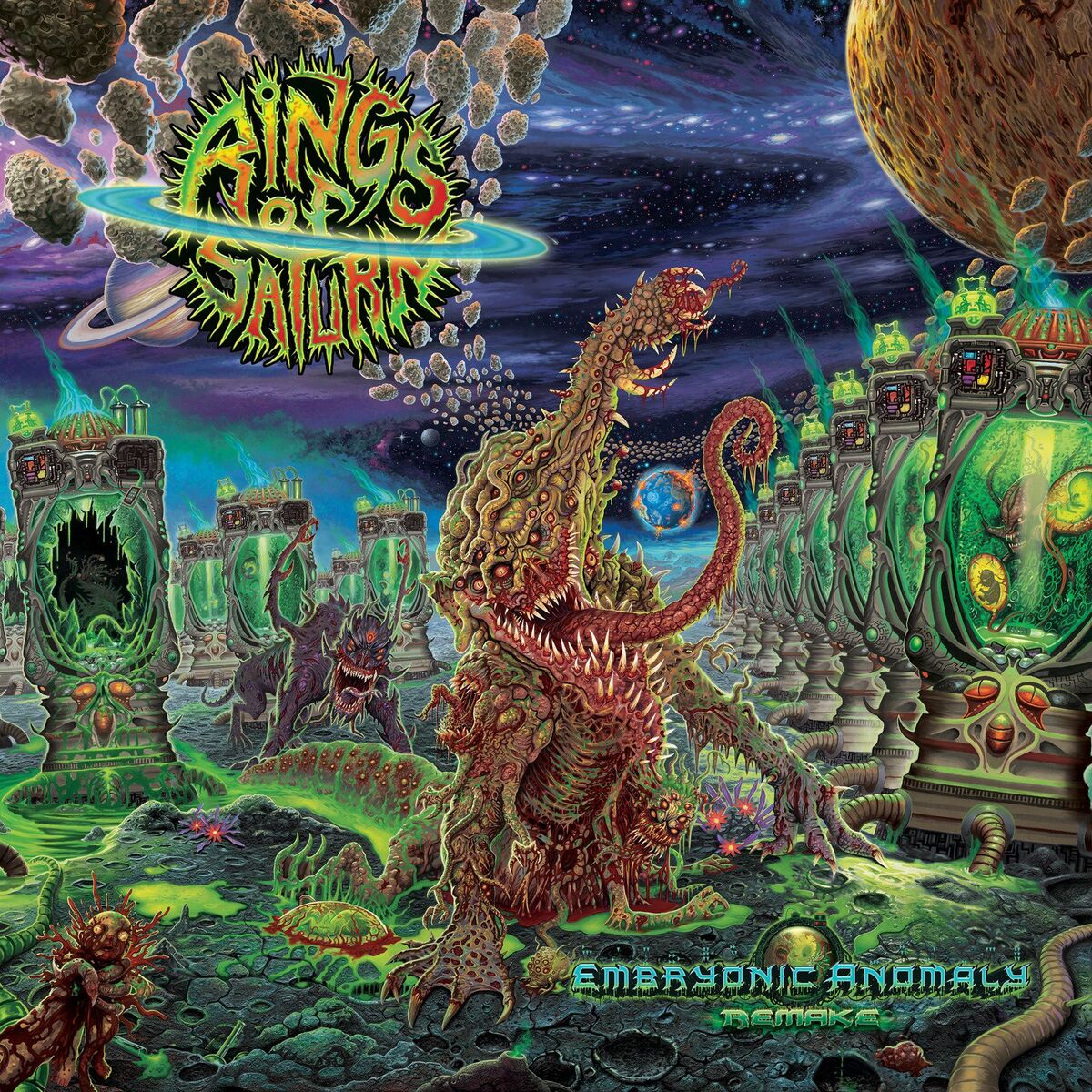 Album cover of Embryonic Anomaly Remake
