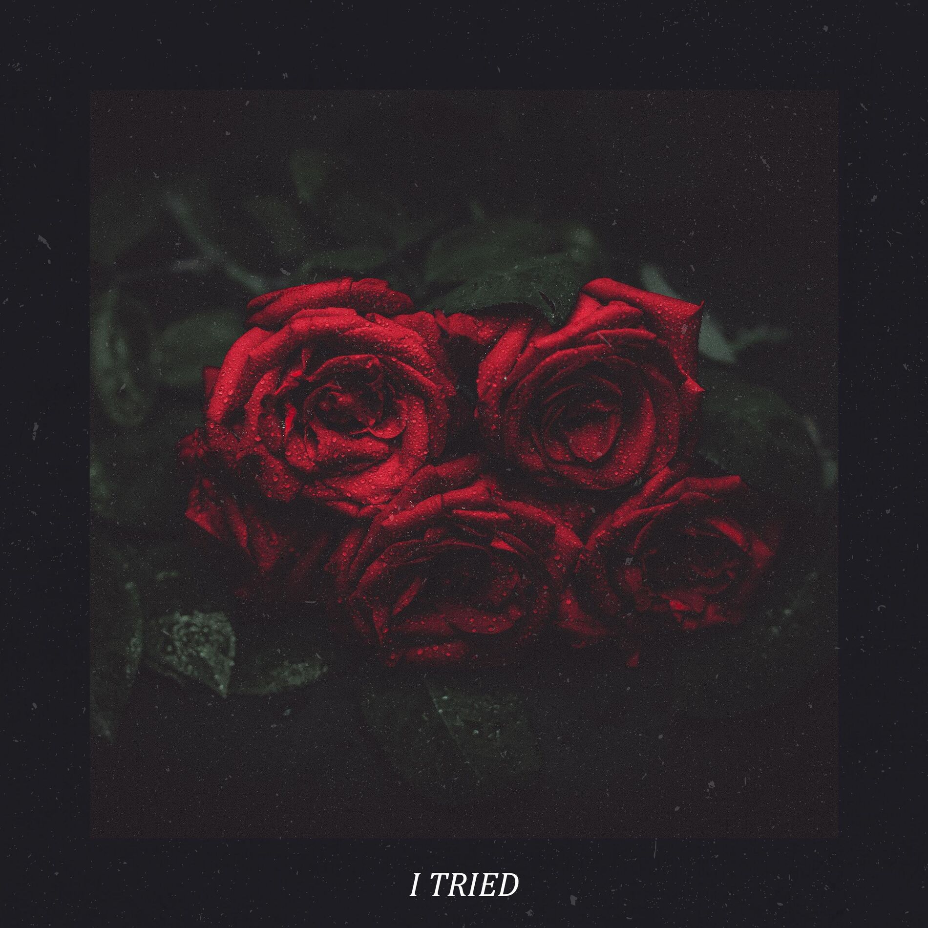 Album cover of I Tried