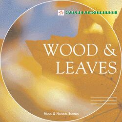 Cover of Nature Atmosphere: Wood & Leaves