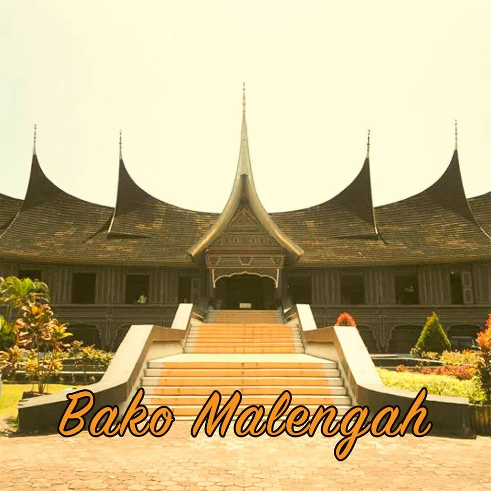 Picture of Bako Malengah