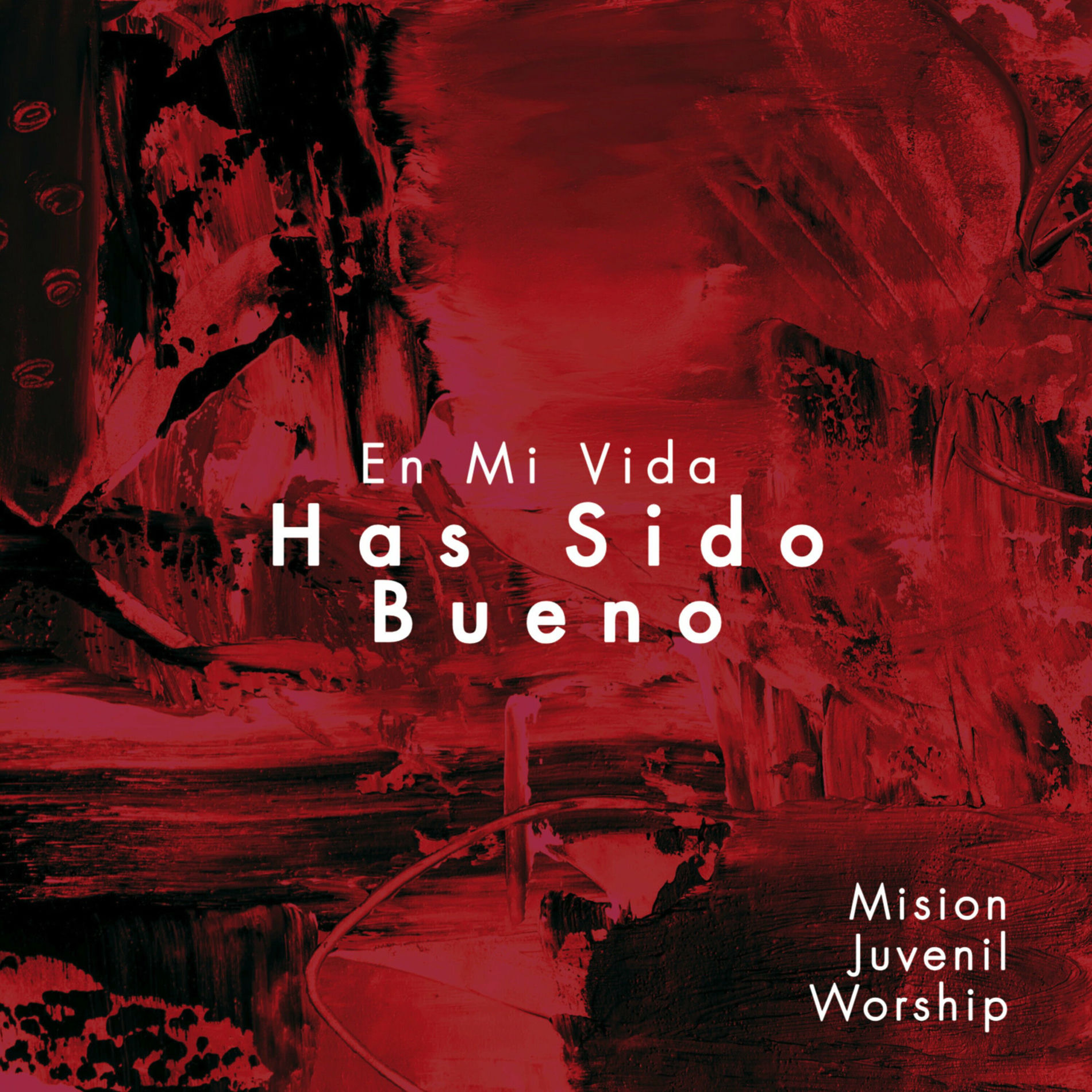 Album cover of En Mi Vida Has Sido Bueno