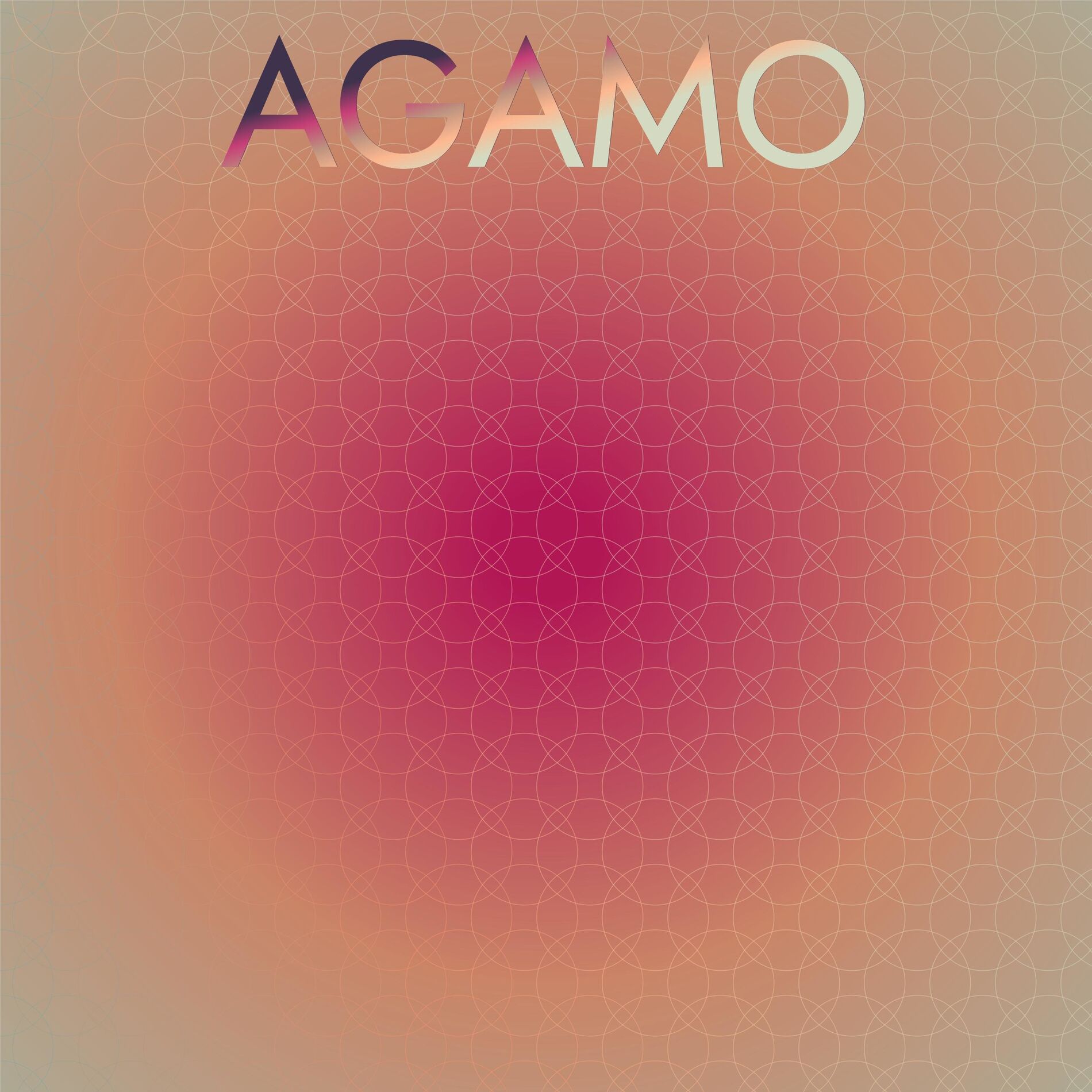 Album cover of Agamo
